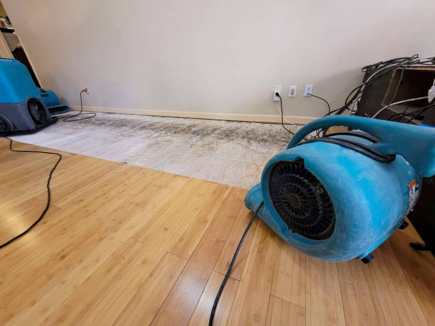 Professional Flood Damage Cleanup technician working in Siren, WI